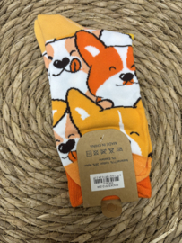 Musthaves | Corgis Sokken | Maat 36-43