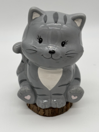Spaarpot | Grijze Kat
