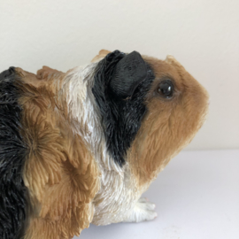 Cavia Beeld | Punkie