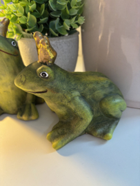 Decoratie | Kikker Koningspaar