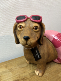 Decoratie | Teckel Larry met Zwemband en Zonnebril