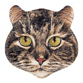 Magneet | Kat