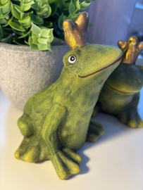 Decoratie | Kikker Koningspaar