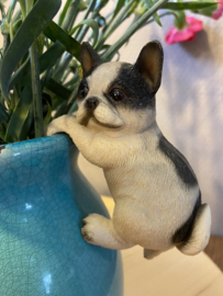 Pothanger | Hondje