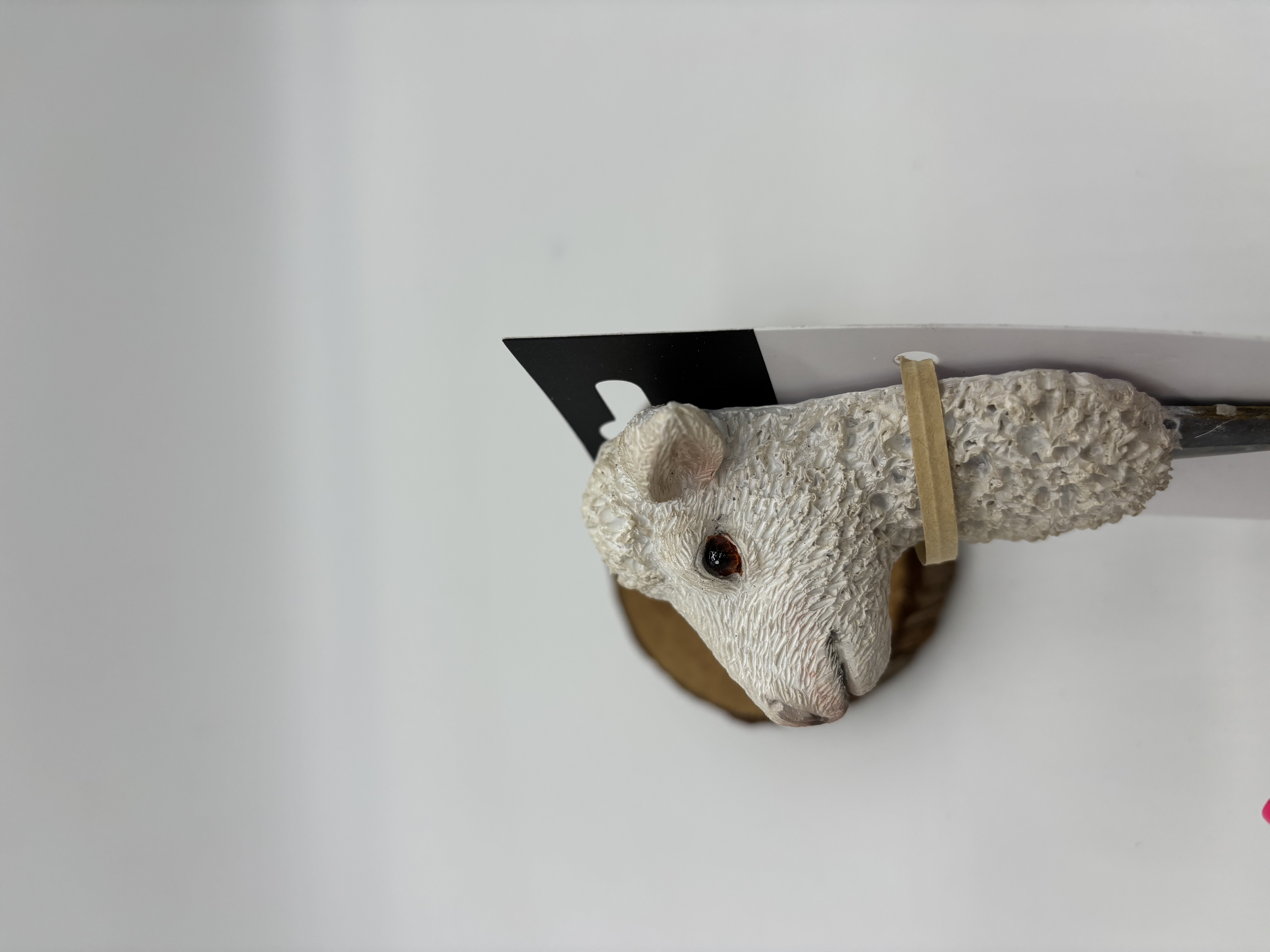 Wandhaak Schaap | Esschert Design