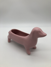 Roze Teckelbakje