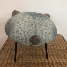 Decoratie | Varken | Groot