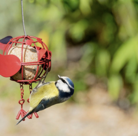 Vetbolhouder Vogeltje | Geel