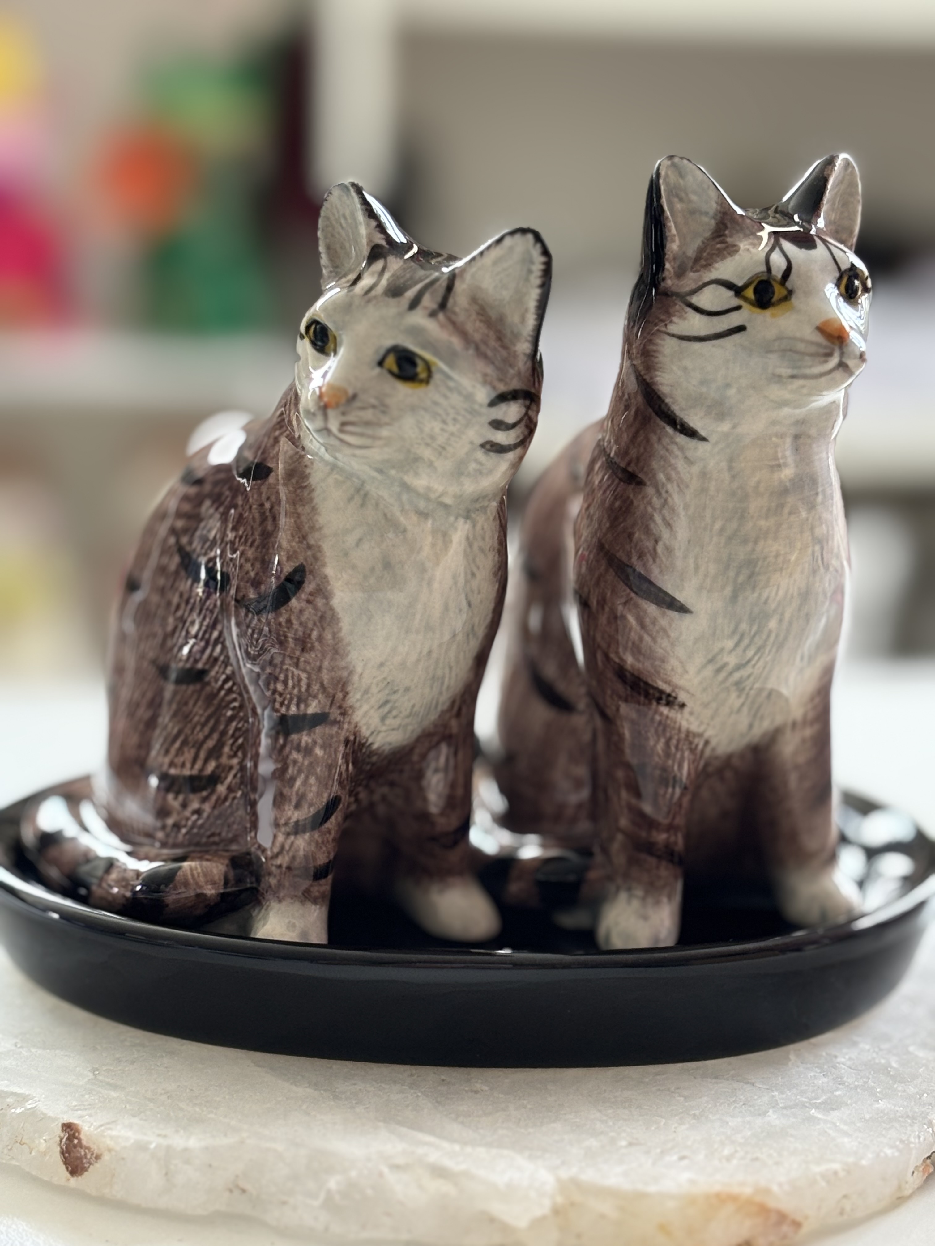 Peper en Zoutstelletje | Katten