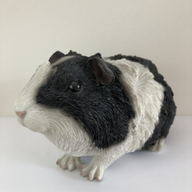 Cavia Beeld | Punkie Zwart Wit