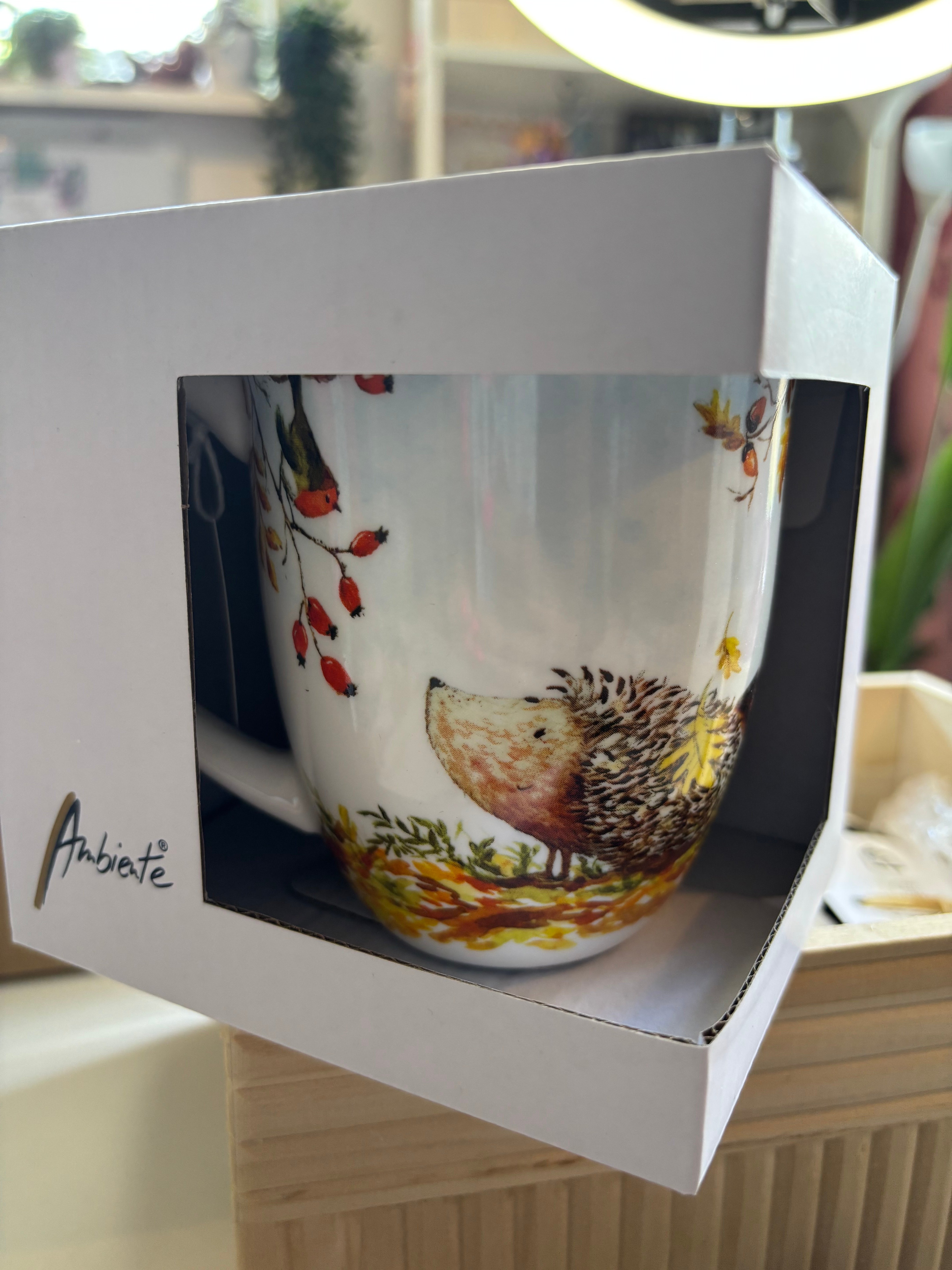 Mok Egel | Ambiente