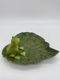 Sieradenschaaltje  Groot | Kikker op Blad
