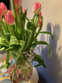 Pothanger | Muis