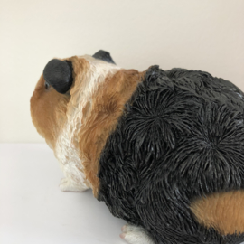 Cavia Beeld | Punkie