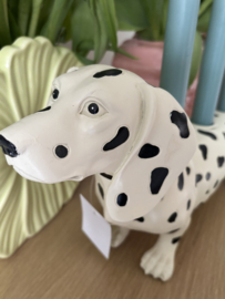 Teckelkaarsenstandaard| De Dalmatiër Teckel | Kersten BV