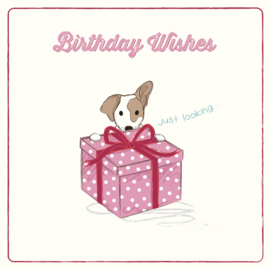 Wenskaart | Jack Russel Tommy | Birthday Wishes