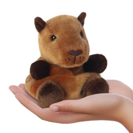 Palm Pals | Capibara | 13 cm