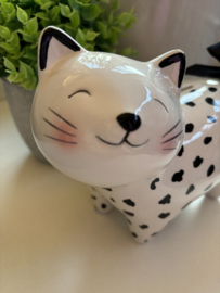 Spaarpot Kat