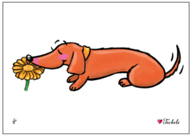 Ansichtkaart | Love Teckels | Bloem