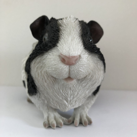 Cavia Beeld | Punkie Zwart Wit