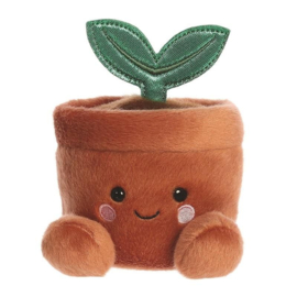 Palm Pals | Potplant | 13 cm