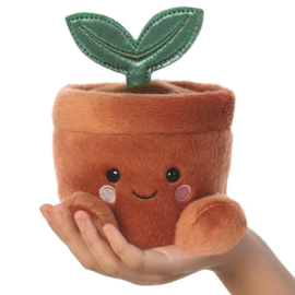 Palm Pals | Potplant | 13 cm