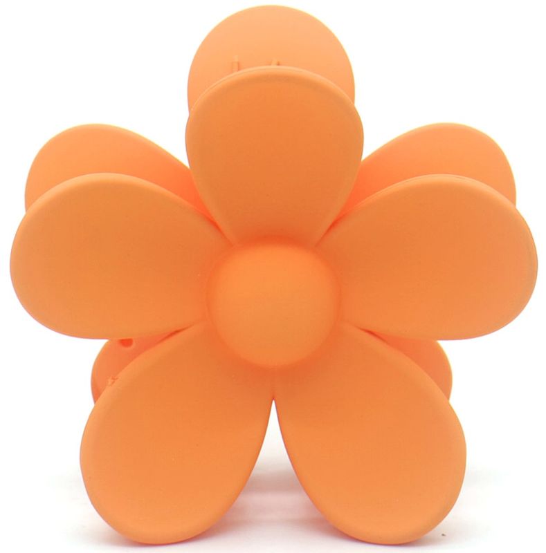 Haarklem | Bloem | Oranje