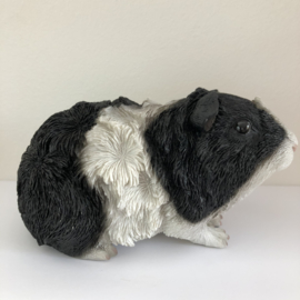 Cavia Beeld | Punkie Zwart Wit