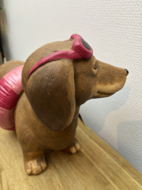 Decoratie | Teckel Larry met Zwemband en Zonnebril