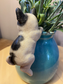 Pothanger | Hondje