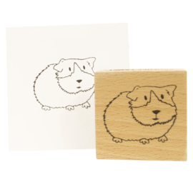 Cavia Stempel