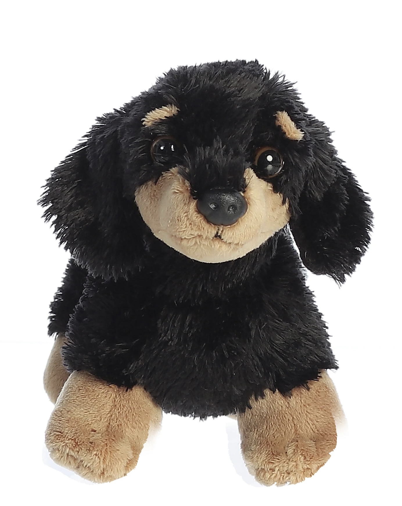 Flopsie Vienna | De Mini Teckel | 20,5 cm