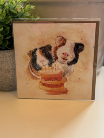 Wenskaart | Cavia’s