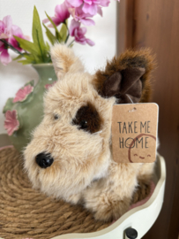 Pluche Knuffelhond | Take me Home