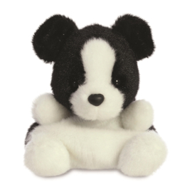 Palm Pals | Border Collie | 13 cm