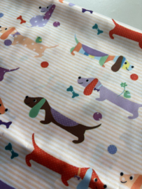 Sjaaltje | Teckels | Oranje