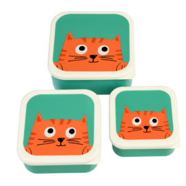 Lunchboxjes | Chester the Cat