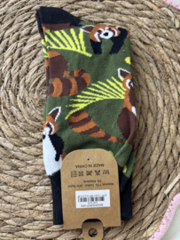 Musthaves | Rode Panda 2 Sokken | Maat 38-45