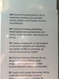 Diamond Painting Kit | Black and Tan Teckel | Noessa