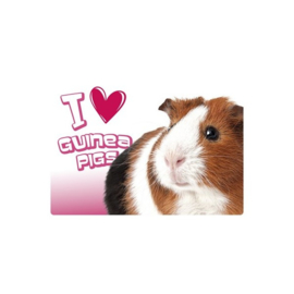 Placemat I love guinea pigs