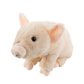 Pluche Knuffel | Varken