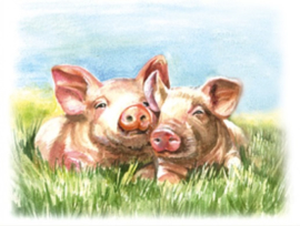 Kaart | Varkens in het gras