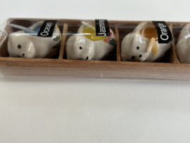 Kaarsjes | Katten