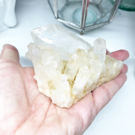 Golden Healer Lemurian 6