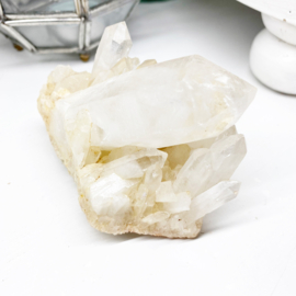 Golden Healer Lemurian 6