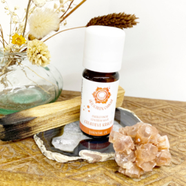 Heiligbeen Chakra olie