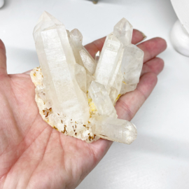 Golden Healer Lemurian 1