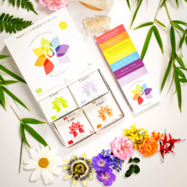 7 chakra thee cadeaudoos Solaris