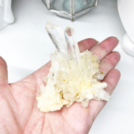 Golden healer Lemurian 2