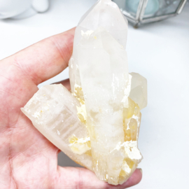 Golden healer Lemurian 5